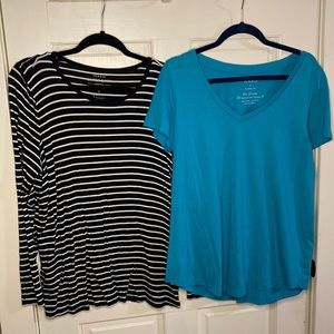 Torrid T-Shirt Bundle, 1 Long Sleeve + 1 Short Sleeve
